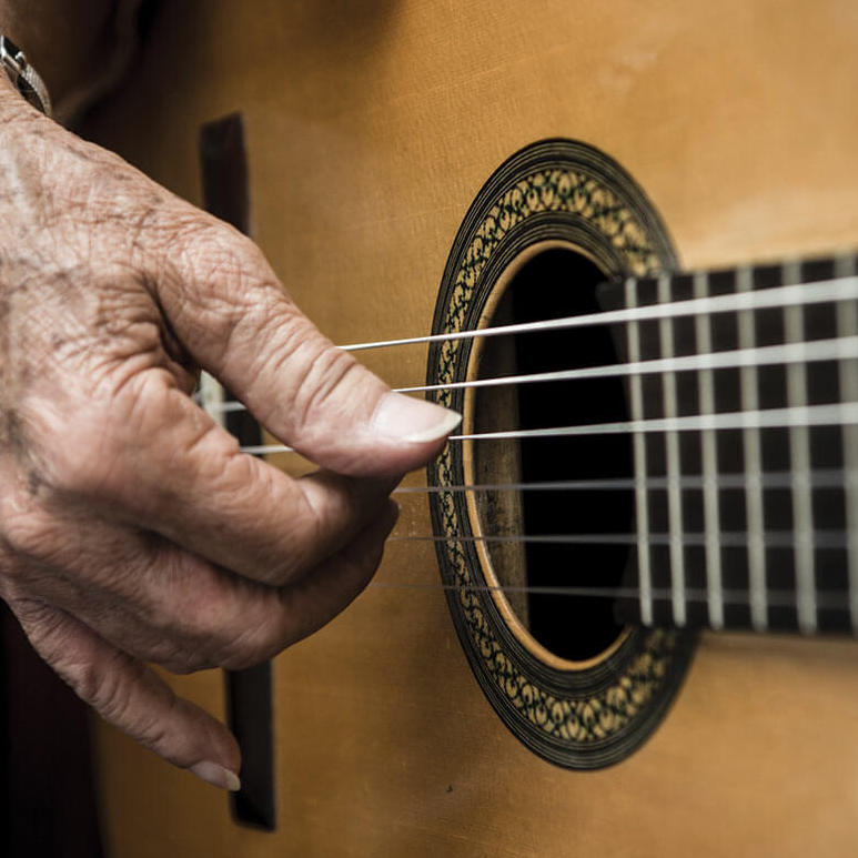 Guitar